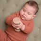 Preview: Rain rattle "Little Farm" by Little Dutch