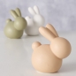 Preview: Hase "Hopsy"