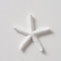 Preview: Decorative Litter Starfish "Clyo" white/orange
