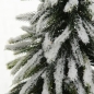 Preview: Weihnachtsbaum "Tanni"
