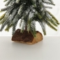 Preview: Weihnachtsbaum "Tanni"