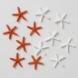 Preview: Decorative Litter Starfish "Clyo" white/orange