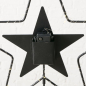 Preview: Gartenstab "Palino" LED Stern