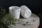 Preview: Favorite mug. Dandelions from good old friends