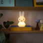 Preview: Nightlight "Miffy Shines"