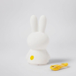 Preview: Nightlight "Miffy Shines"