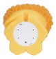 Preview: Night Light Lion