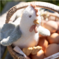 Preview: Cuddly toy "Chicken" 17cm