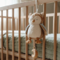Preview: Music Box "Owl"