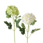 Preview: Silk flower "Hydrangea" green/white