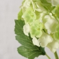 Preview: Silk flower "Hydrangea" green/white