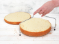 Preview: Cake-Masters Tortenschneider mit doppeltem Schneidedraht – Höhenverstellbare Tortensäge aus Edelstahl für gleichmäßige Biskuitböden bis 36 cm Durchmesser (GREENLINE)