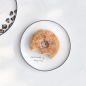 Preview: Katalog Winter 25 von Bastion Collections