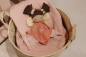 Preview: Cuddly cloth, cuddly doll fairy "Evi"