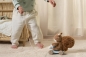Preview: Pull-along animal "Squirrel" Forest Friends