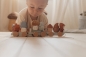 Preview: Wooden train "Foreste Friends" squirrel with plug-in shapes