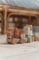 Preview: Wooden train "Foreste Friends" squirrel with plug-in shapes
