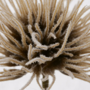 Artificial Flower Decorative Branch