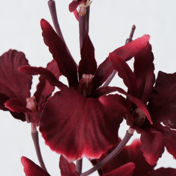 Decorative Branch "Orchid"