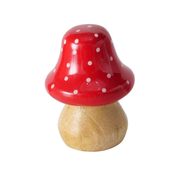 Lucky Charm Mushroom, Mushroom