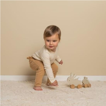 Pull-along animal Little Bunny
