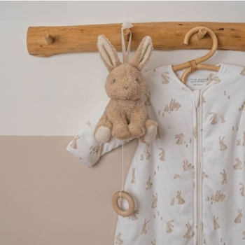 Music Box "Little Bunny"
