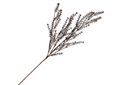 Wildblume, Seidenblume