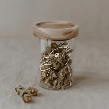 Preview: Vorratsglas "Hasi" von Eulenschnitt