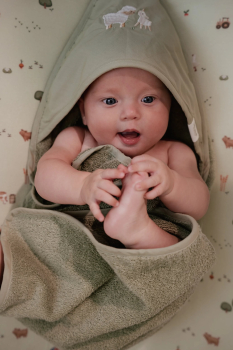 Hooded towel "Little Farm"