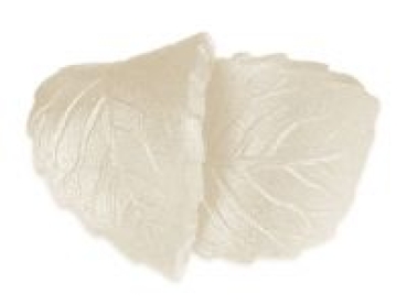 Pearl Spray Pearl White