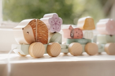Wooden train "Fairy Garden" hedgehog with plug-in moulds
