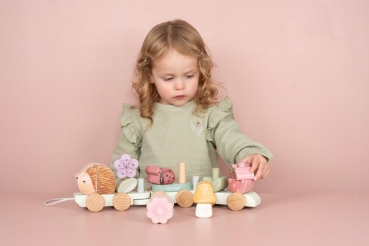 Wooden train "Fairy Garden" hedgehog with plug-in moulds