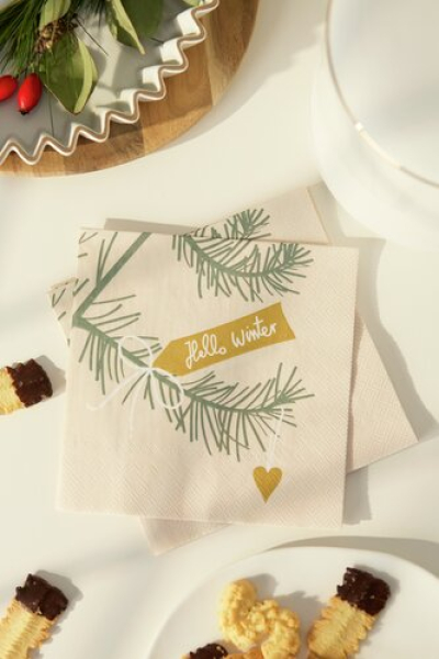 Räder Design Lunchservietten „Hello Winter“ 33x33 cm