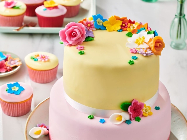 Fondant Multipack Pink Tones