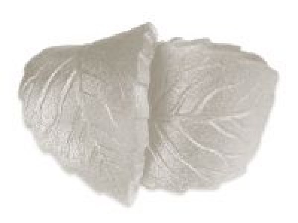 Pearl Spray Silver