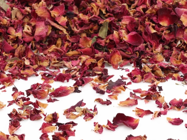 Rose petals burgundy