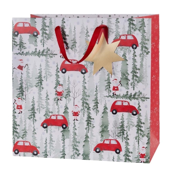 Gift Bag "Trees/Car"