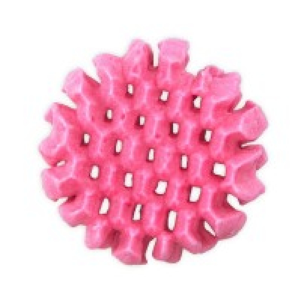 Bee Honeycomb Spout 20mm