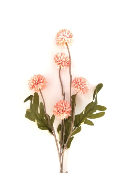 Seidenblume Dahlia, Chrysanthemen pink