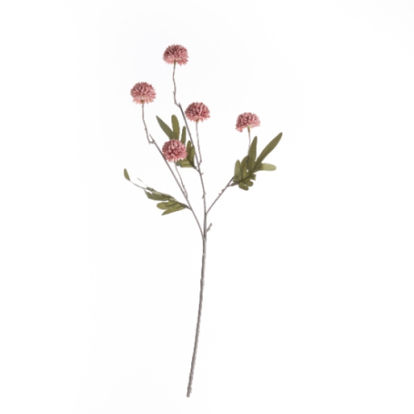 Seidenblume Dahlia, Chrysanthemen pink