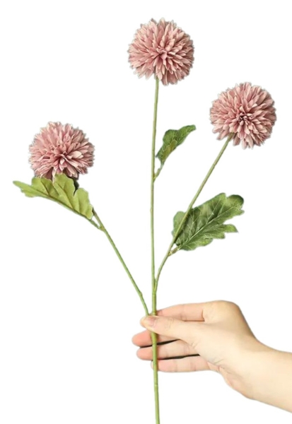 Seidenblume Dahlia, Chrysanthemen pink