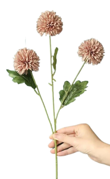 Seidenblume Dahlia, Chrysanthemen braun