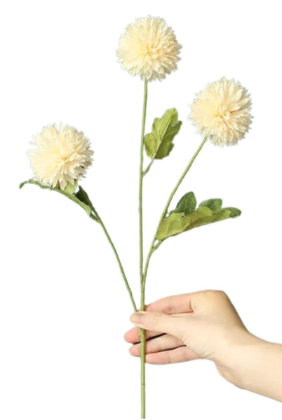Seidenblume Dahlia, Chrysanthemen weiß