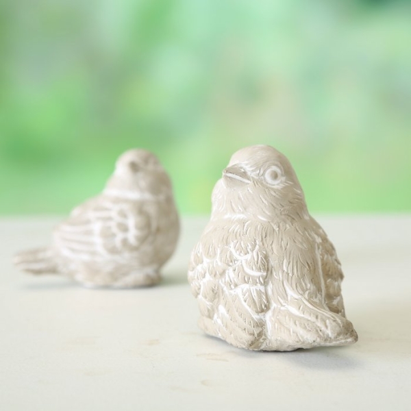 Display "Bird"