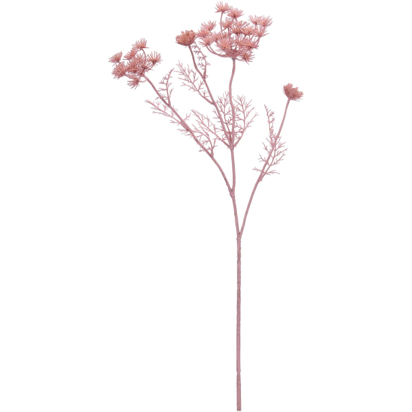 Schafgarbe "Emmi" rosa