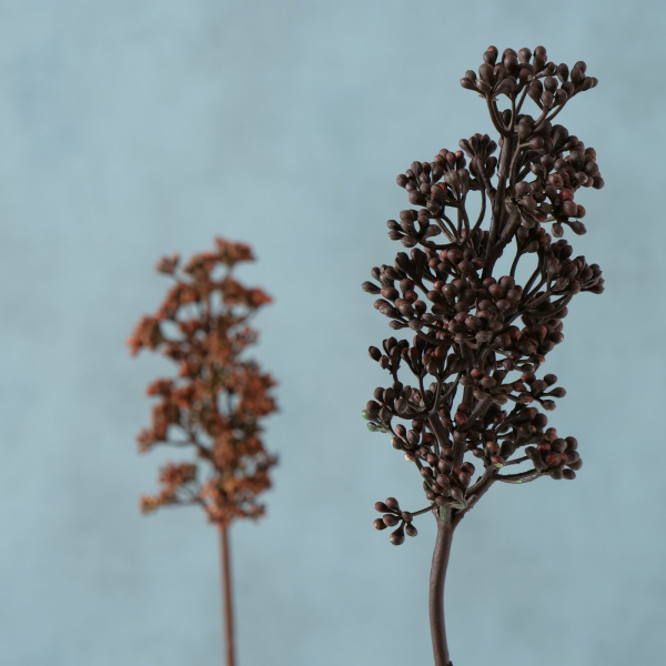 Decorative Branch "Acacia"