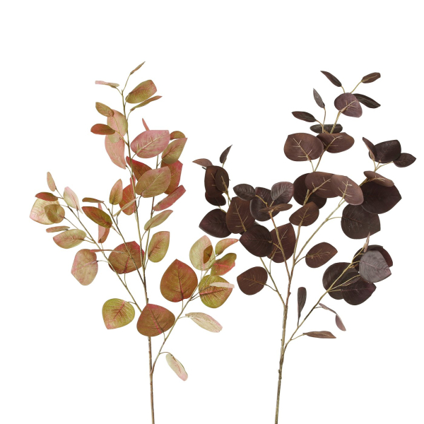 Decorative Branch – Poplar Fig