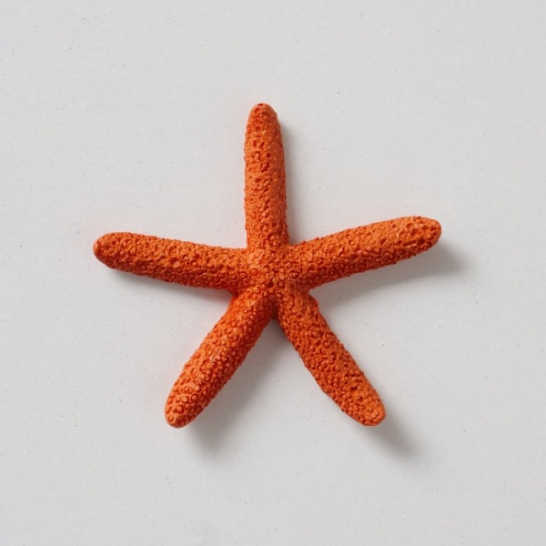 Decorative Litter Starfish "Clyo" white/orange