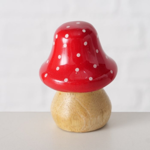 Lucky Charm Mushroom, Mushroom