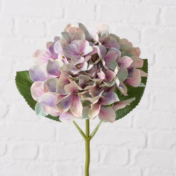 Hydrangea pale pink, purple, blue